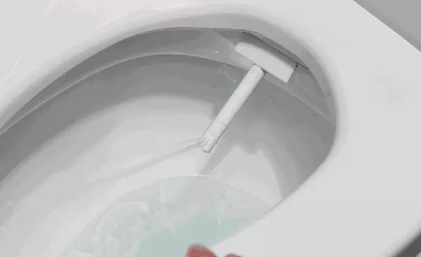 智能马桶的功能介绍这么多,i人e人更倾向哪点?(12)