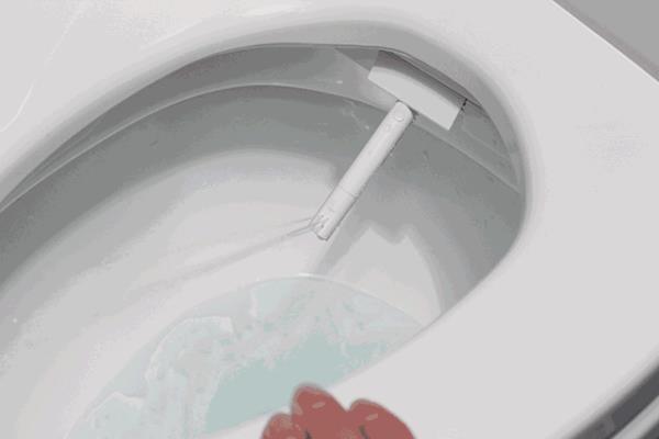 智能马桶的功能介绍这么多,i人e人更倾向哪点?.