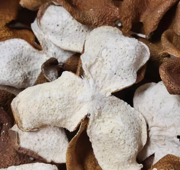 做旧陈皮和正宗陈皮的区别(4)