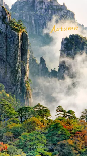 黄山风景区门票网上预订有优惠吗(1)