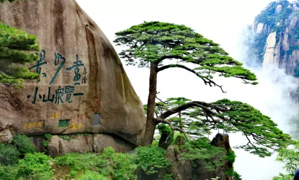 安徽黄山景区门票价格(2)