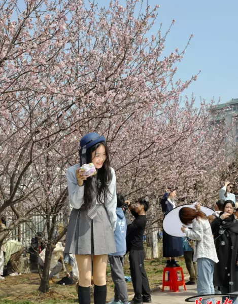 汇龙花园属于哪个街道(1)