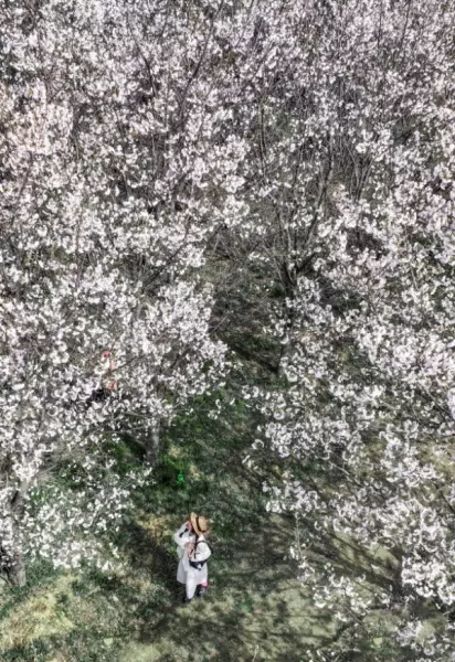 汇龙花园属于哪个街道(2)