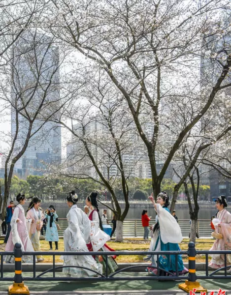 汇龙花园属于哪个街道(3)