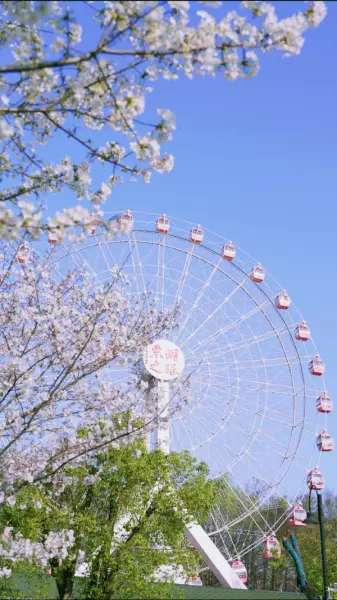 汇龙花园属于哪个街道(4)