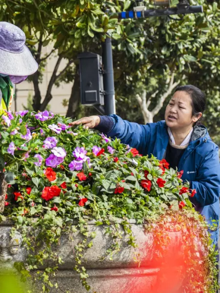 汇龙花园属于哪个街道(6)