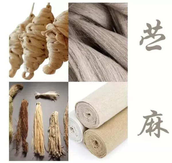 棉麻亚麻和苎麻三者哪个贵(1)
