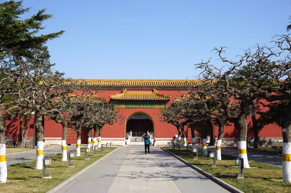 帝王金砖可以烧给祖先吗(13)