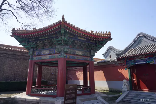 帝王金砖可以烧给祖先吗(16)