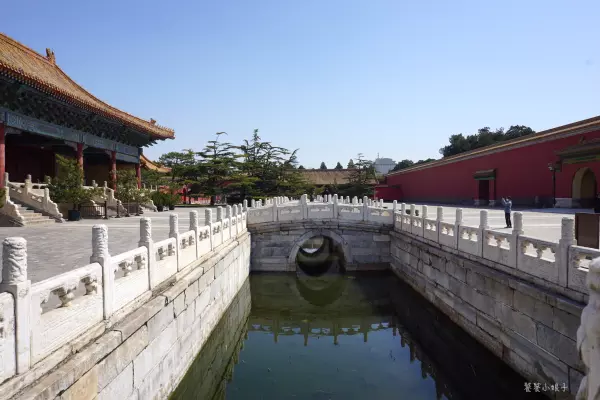 帝王金砖可以烧给祖先吗(18)