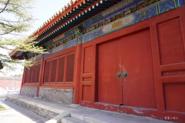 帝王金砖可以烧给祖先吗(20)