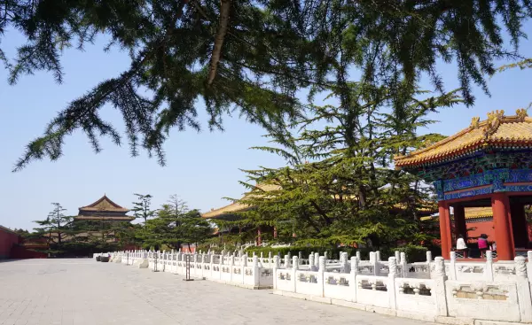 帝王金砖可以烧给祖先吗(21)