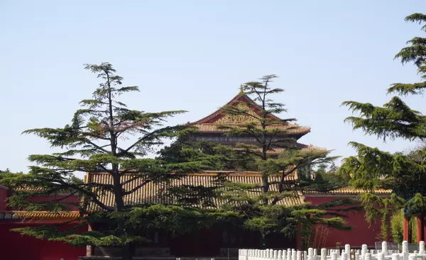 帝王金砖可以烧给祖先吗(22)