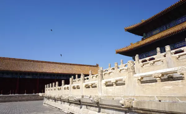 帝王金砖可以烧给祖先吗(28)