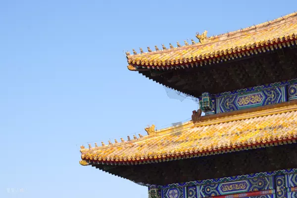 帝王金砖可以烧给祖先吗(29)