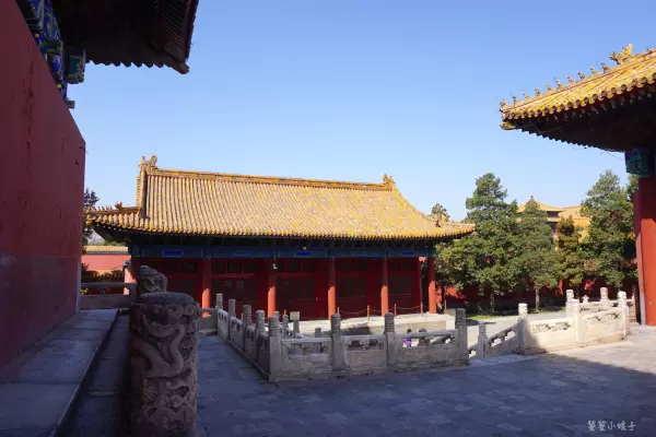 帝王金砖可以烧给祖先吗(48)