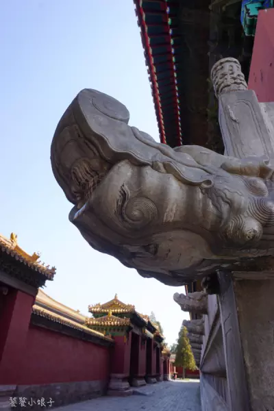 帝王金砖可以烧给祖先吗(49)