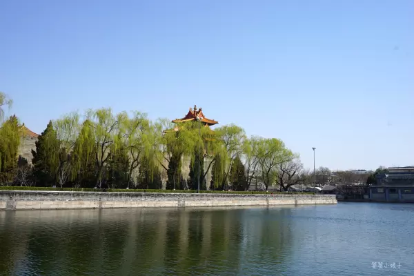 帝王金砖可以烧给祖先吗(53)