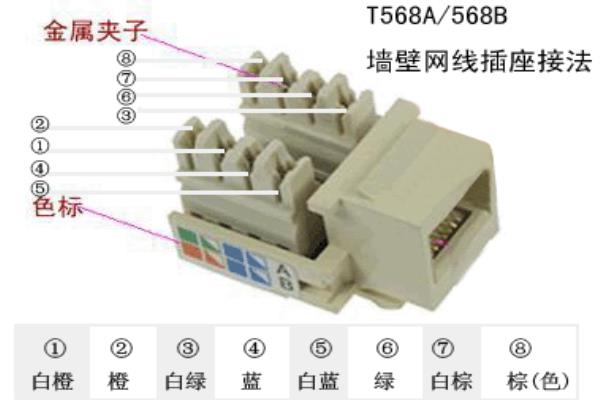 网线插座与水晶头接线顺序一样吗.