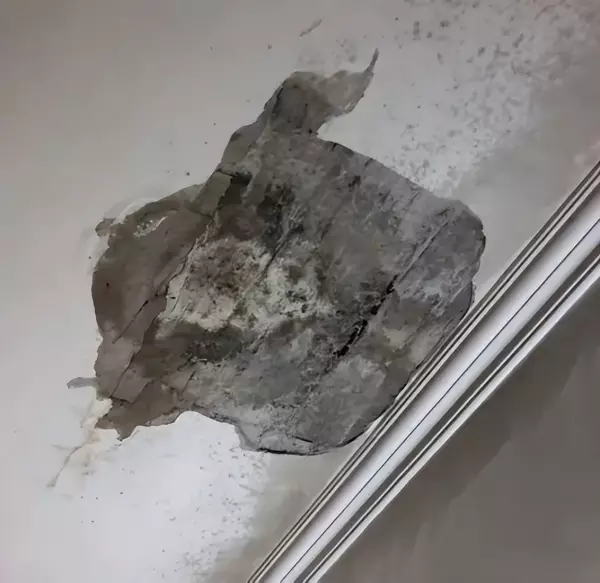 空心板的房子能住多少年(4)
