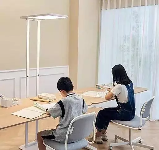 光照强度32000LX是什么意思(3)