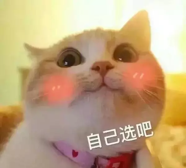 光照强度32000LX是什么意思(5)