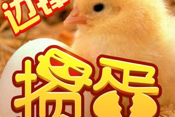 最新棋牌合集大全.