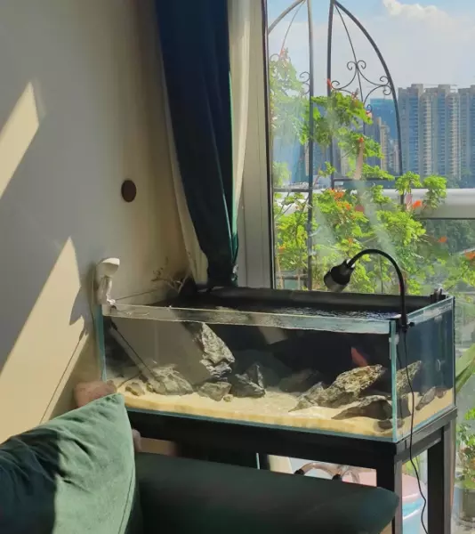 卧室放镜子有什么影响和禁忌(19)