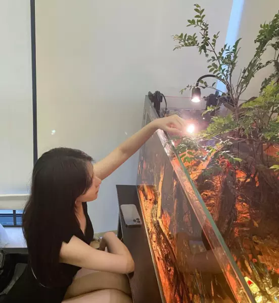 卧室放镜子有什么影响和禁忌(20)