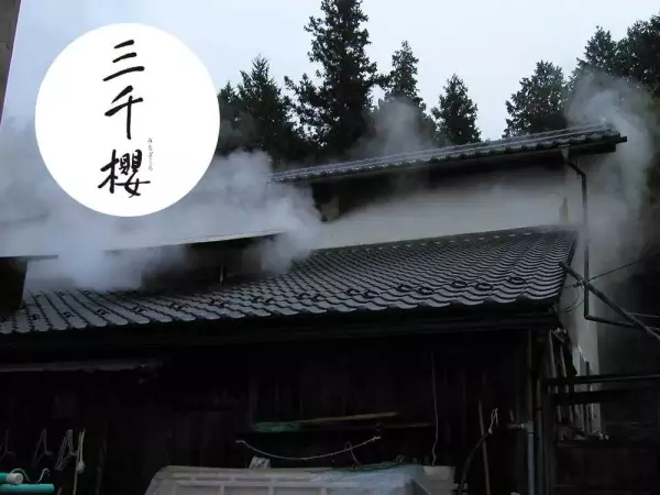 日本六酒最建议买吗(11)