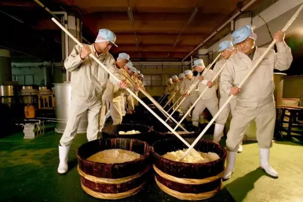 日本六酒最建议买吗(9)
