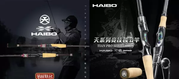 ecooda是哪国的品牌(6)