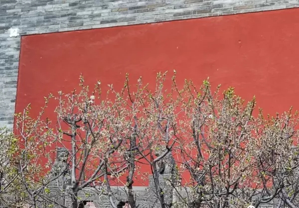 大同府文庙牌匾写的什么字(3)