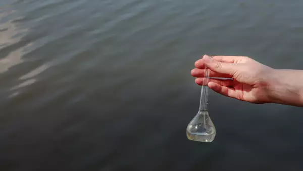 太阳虫是单细胞生物吗(6)