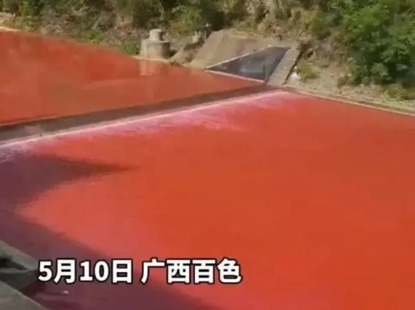 太阳虫是单细胞生物吗(9)