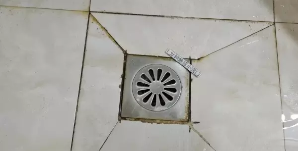 下水道反味怎么办有什么好办法(1)