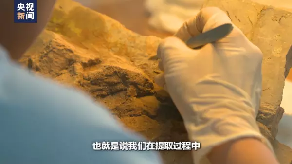 湿壁画和干壁画的区别(13)