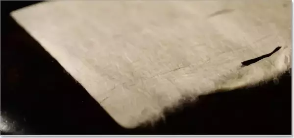 皮纸适合画什么种类的国画(4)