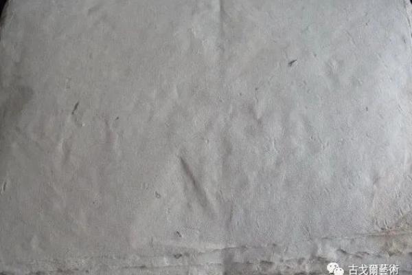 皮纸适合画什么种类的国画.