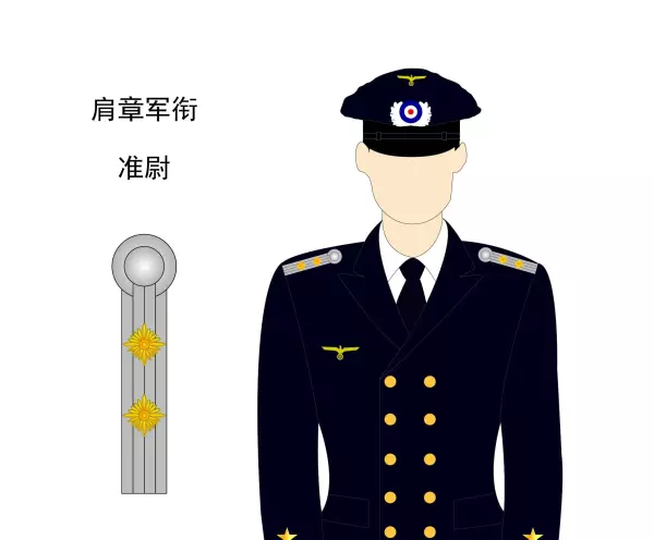 光板一星是什么军衔(31)