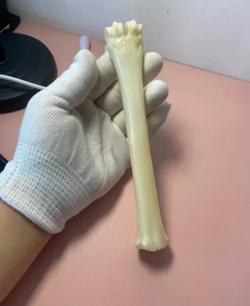 羊头骨挂件怎么处理才干净(2)
