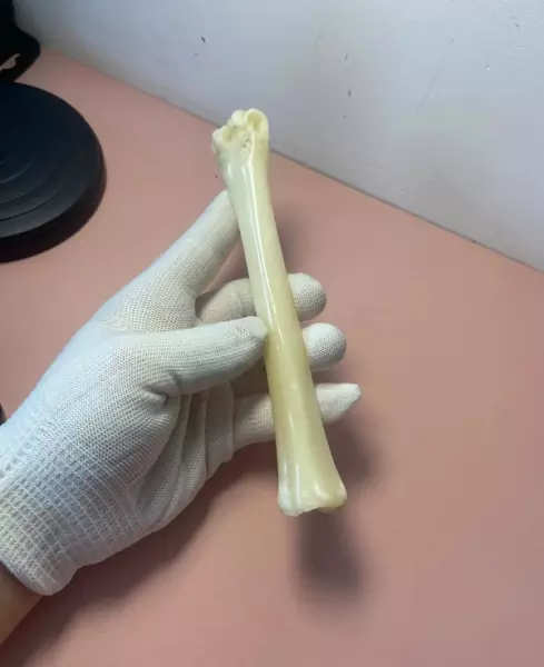 羊头骨挂件怎么处理才干净(3)