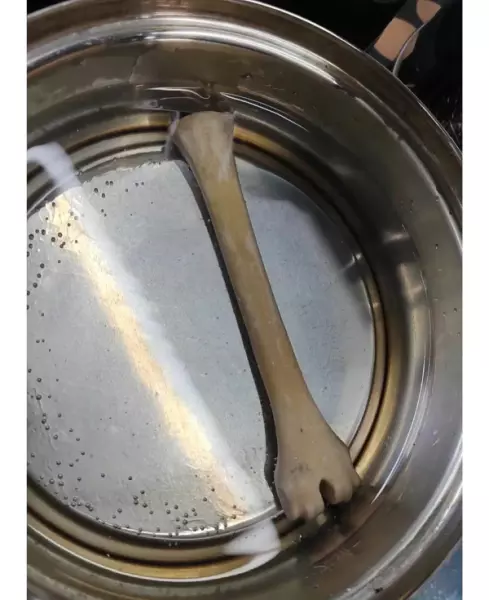 羊头骨挂件怎么处理才干净(4)
