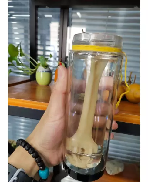 羊头骨挂件怎么处理才干净(5)