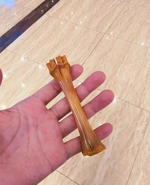 羊头骨挂件怎么处理才干净(6)