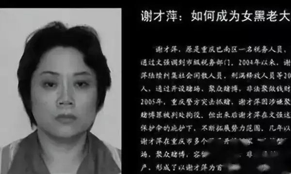 茶园新区属于哪个街道(12)