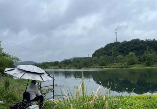 水太凉鱼不开口怎么办(1)