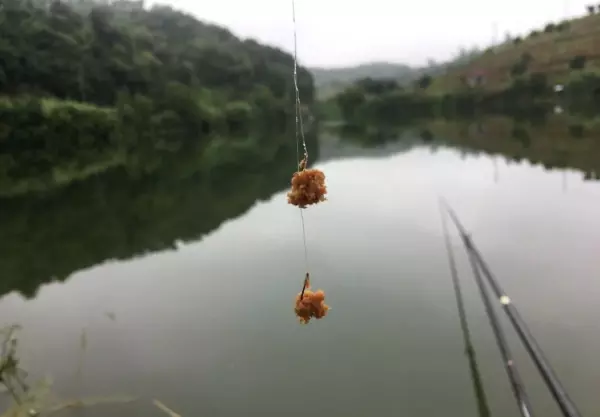 水太凉鱼不开口怎么办(3)