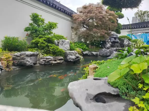 景观石是什么石头(5)