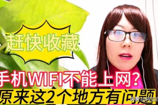 无限网络显示已连接,但是没有网络,有什么办法可以恢复.